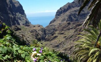 barranco de masca