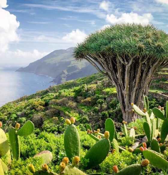Garafia en La Palma