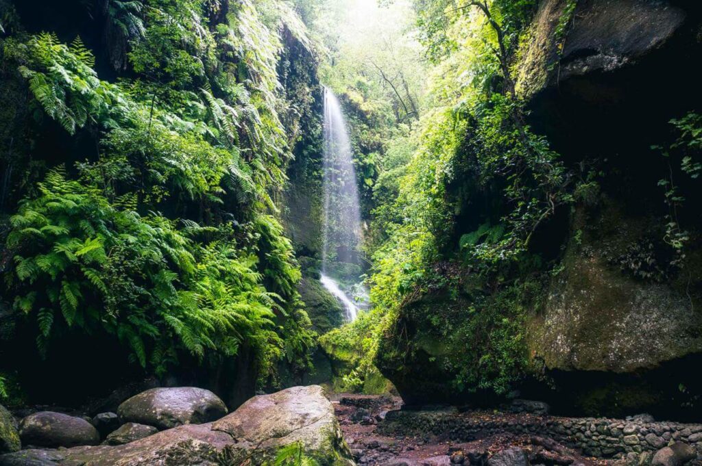 Cascada del bosque de Los Tilos en La Palma