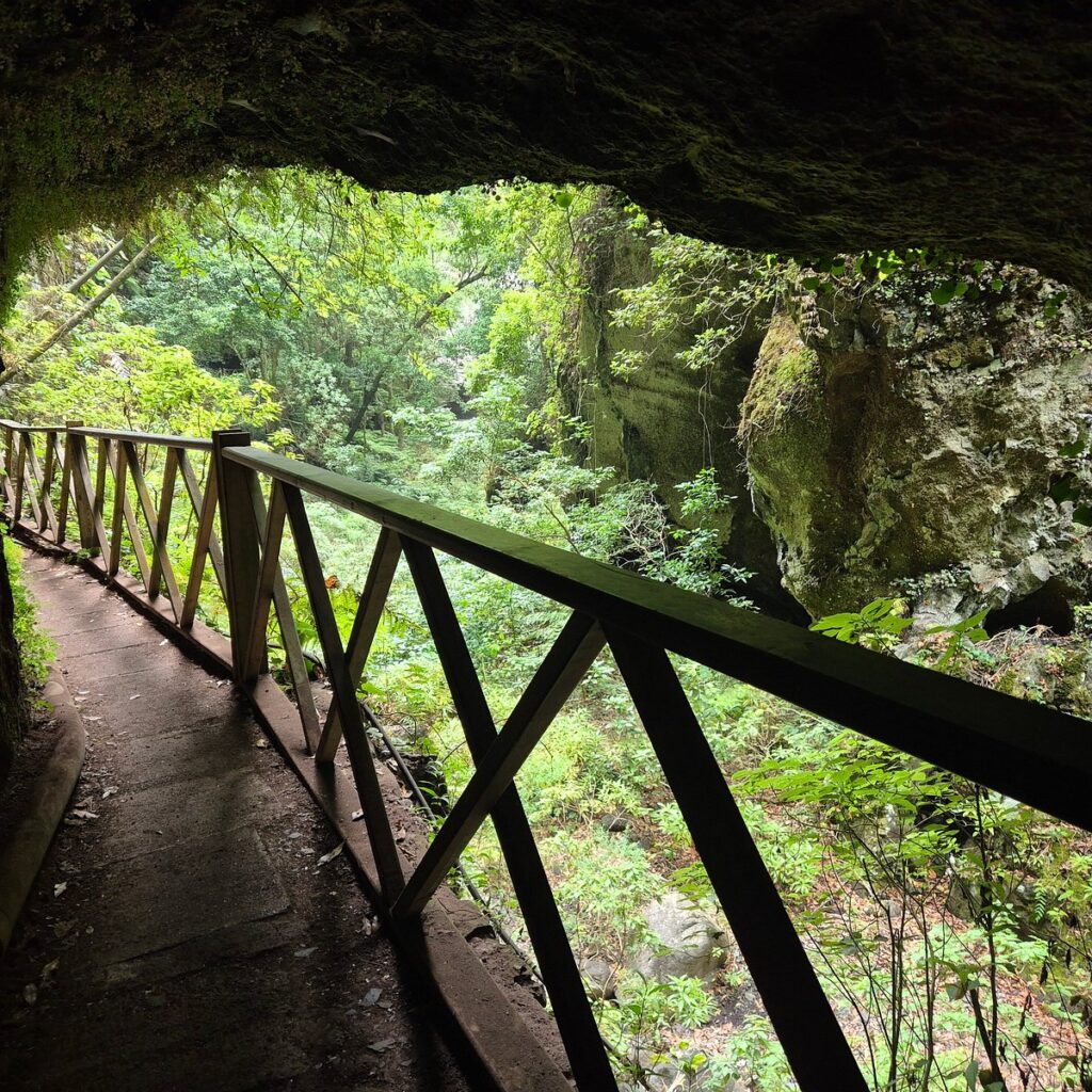 Camino la cascada de Los Tilos