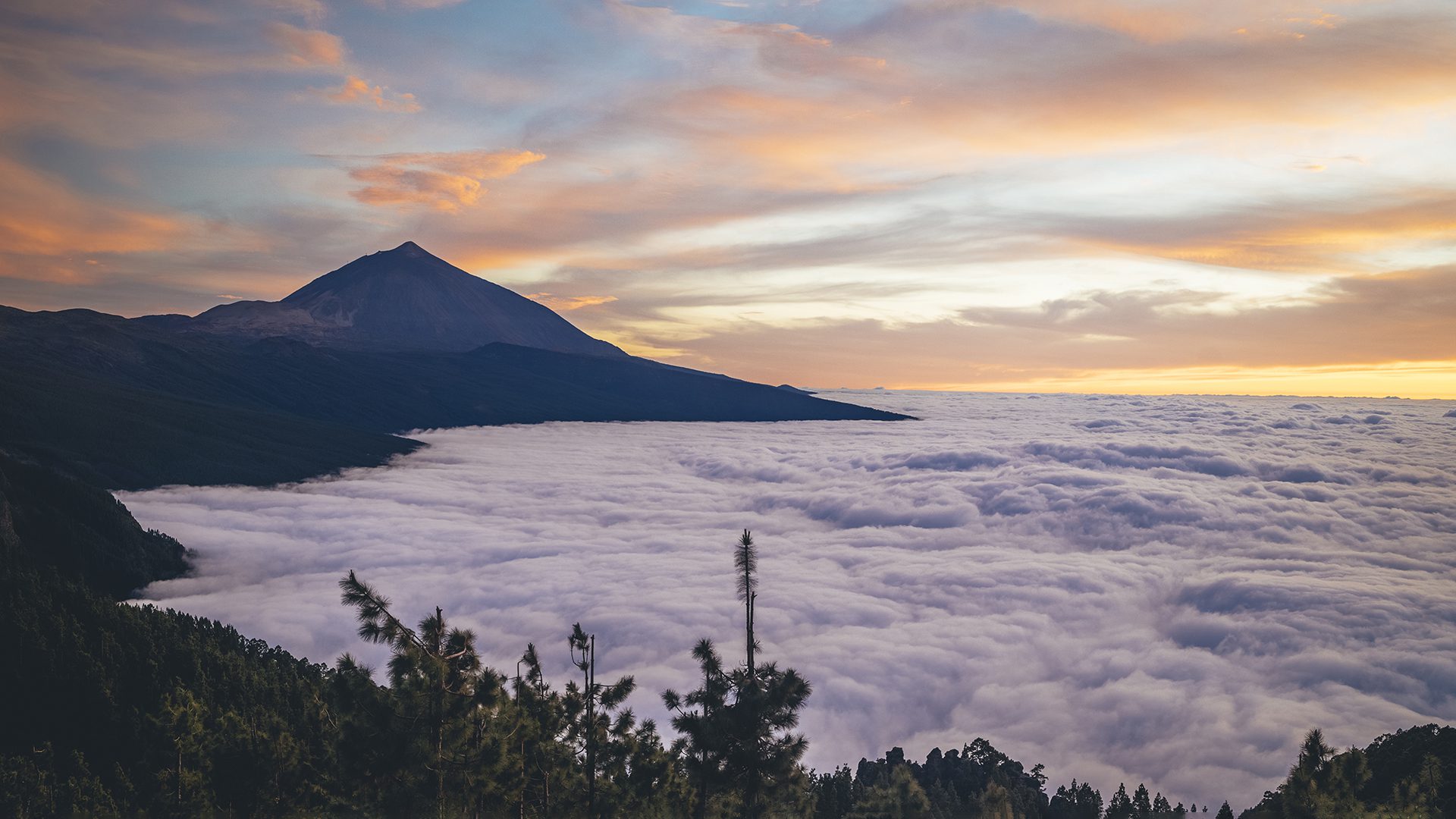 mar de nubes tenerife