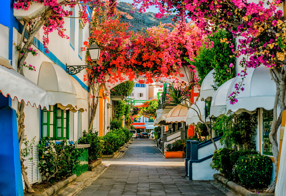 mogan gran canaria