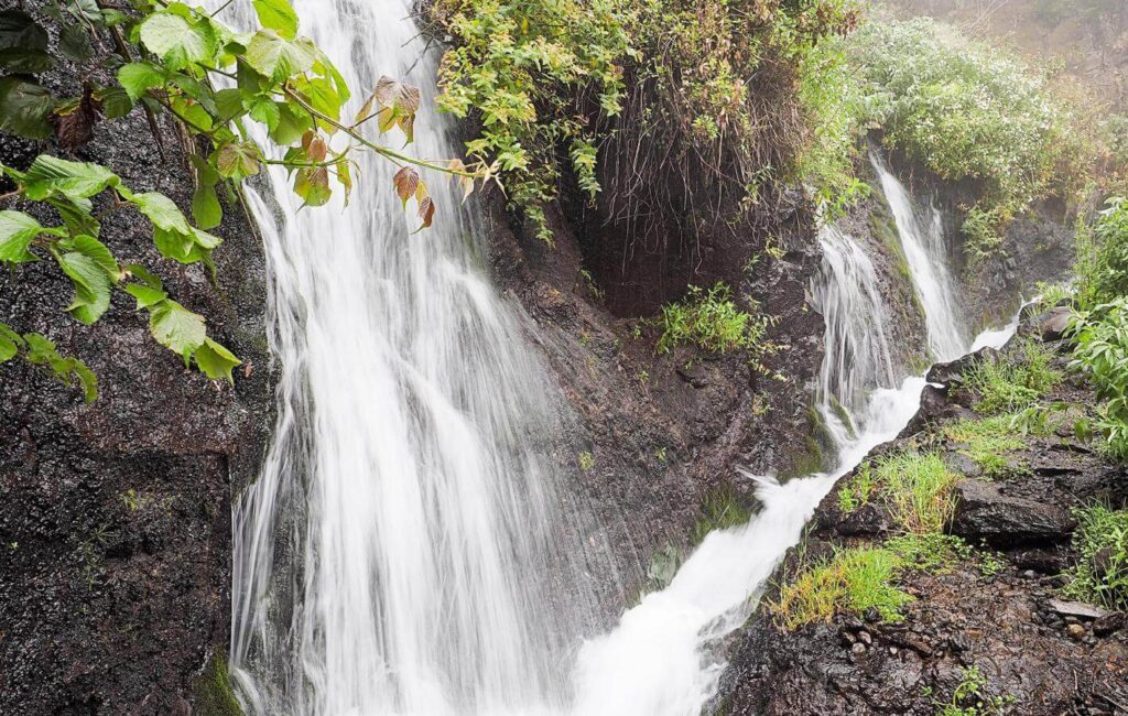Nacientes de Marcos y Cordero en La Palma